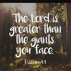 Meet your Posher, Annali